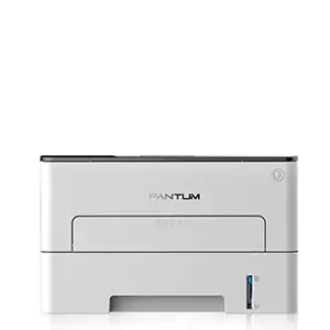 Принтер Pantum P3010DW 