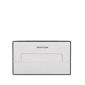 Принтер Pantum BP4211DN 