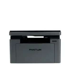 МФУ Pantum BM2302W 