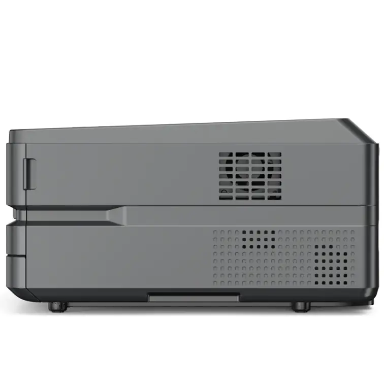 Принтер Deli P3100DNW 