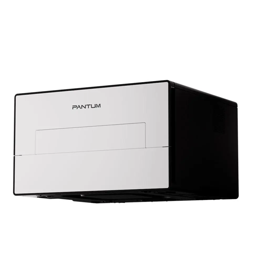 Принтер Pantum BP4211DW 