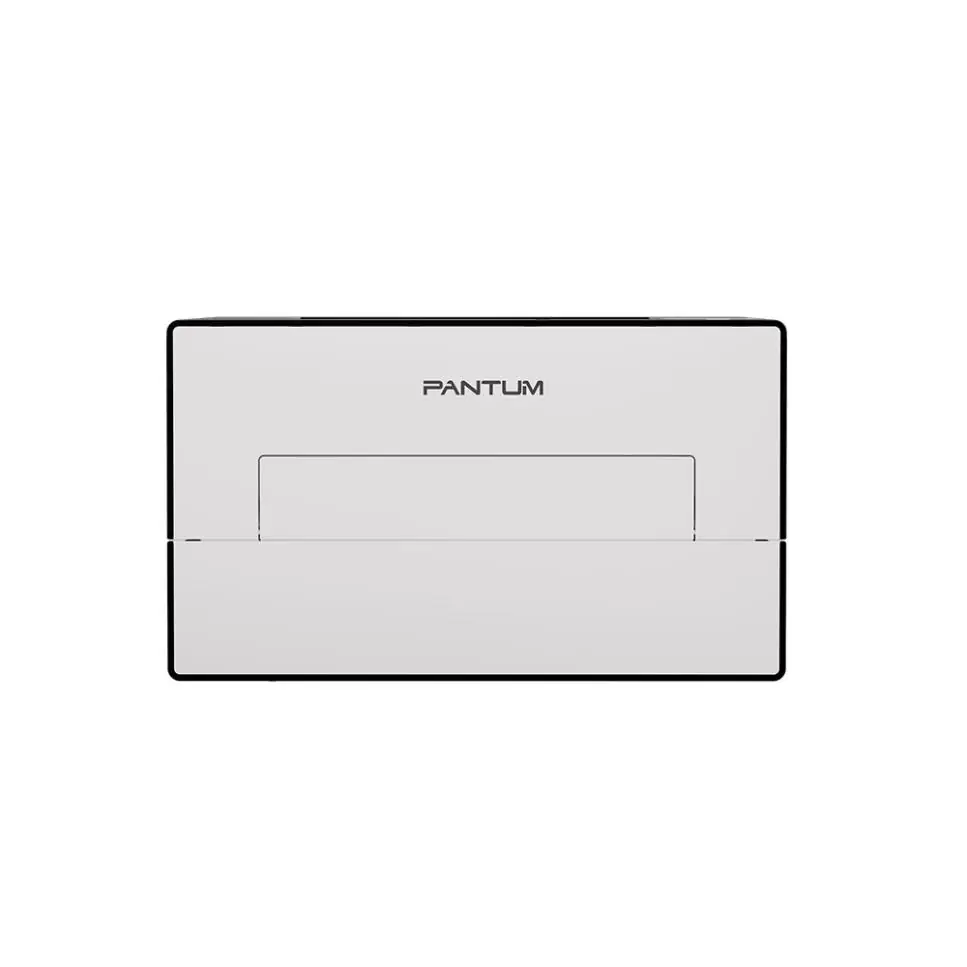 Принтер Pantum BP4211DW 