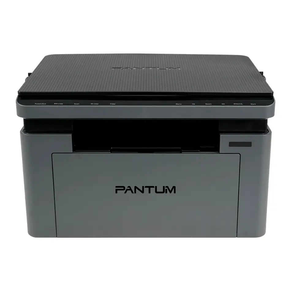 МФУ Pantum BM2302W 