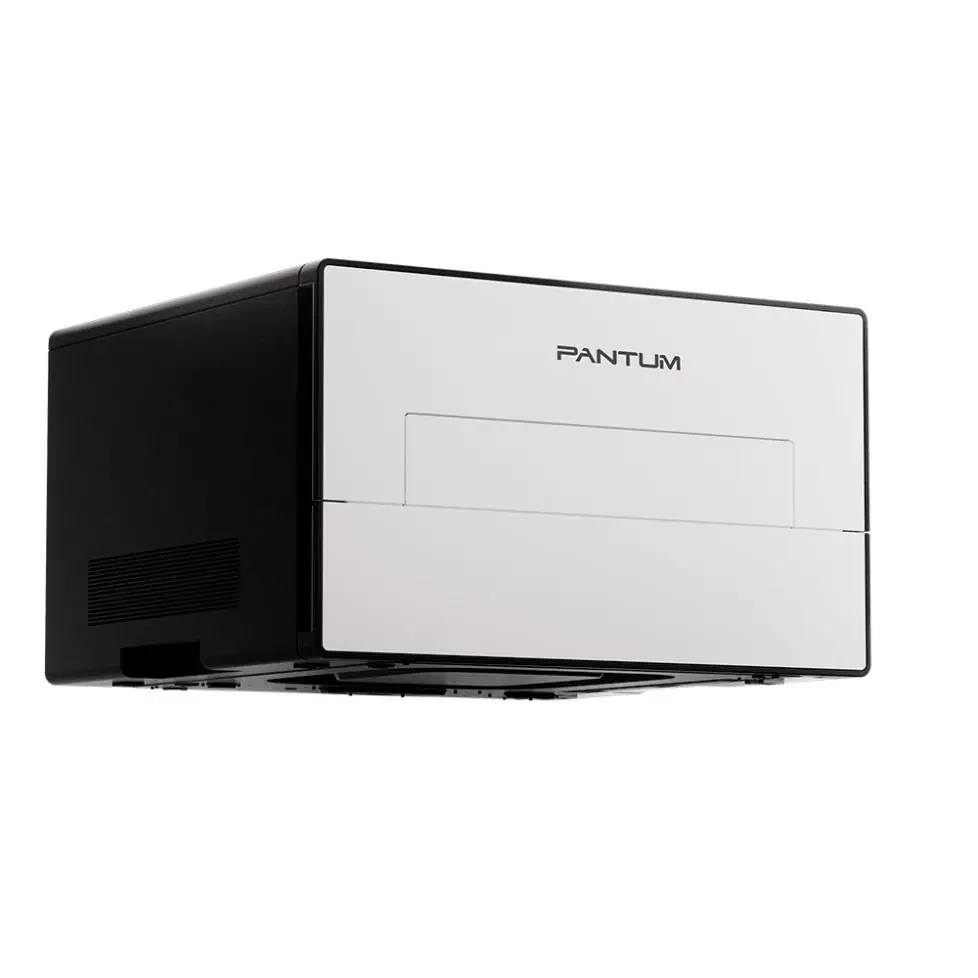 Принтер Pantum BP4211DW 