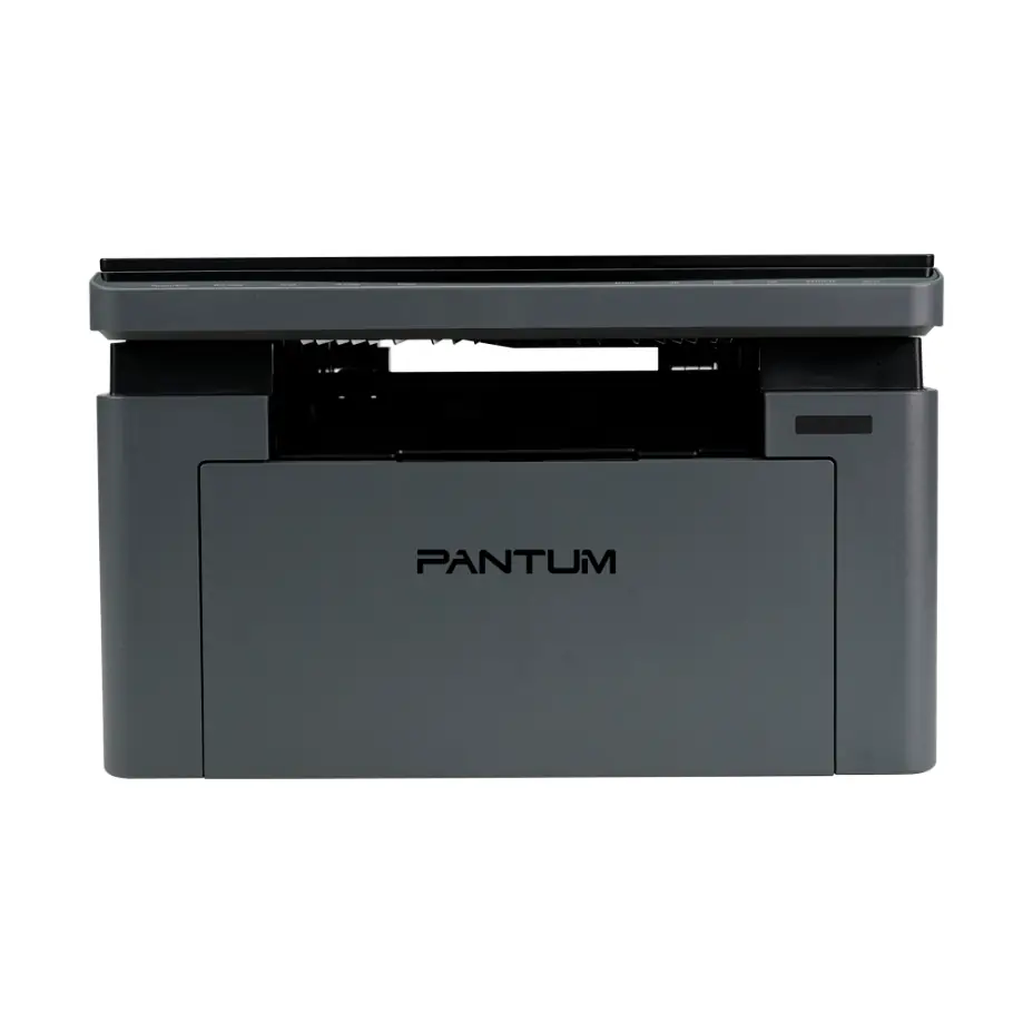 МФУ Pantum BM2302W 