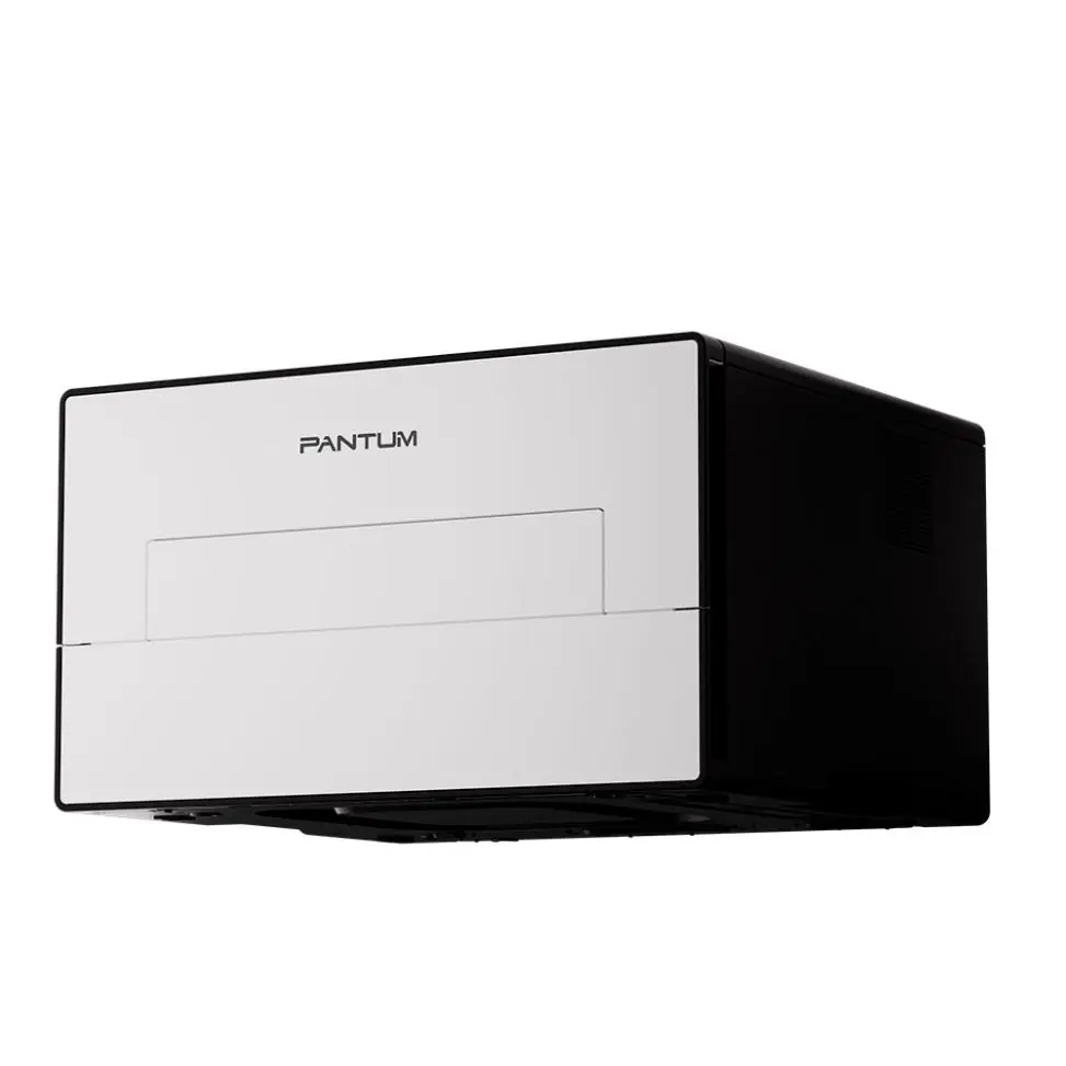 Принтер Pantum BP4211DN 