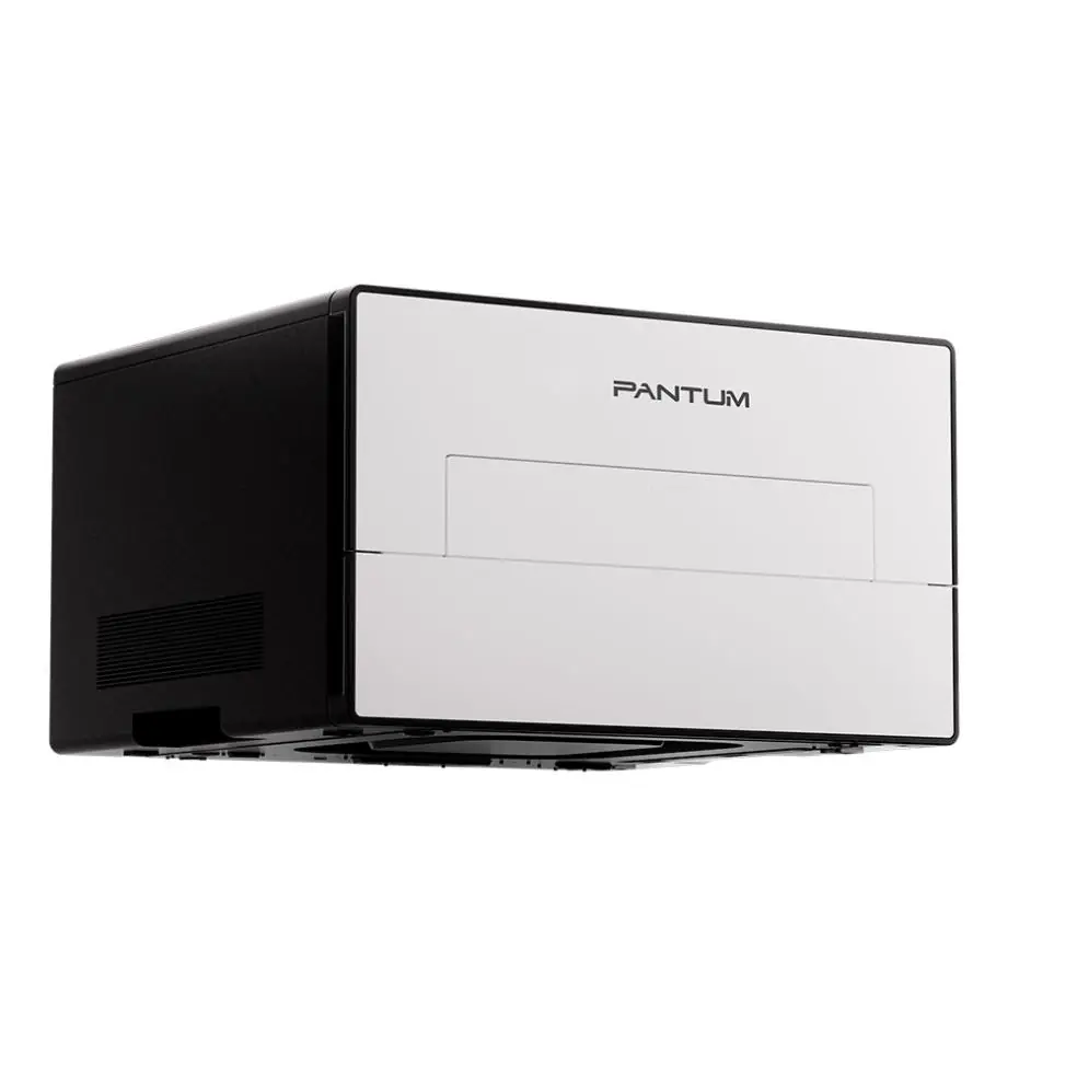 Принтер Pantum BP4211DN 