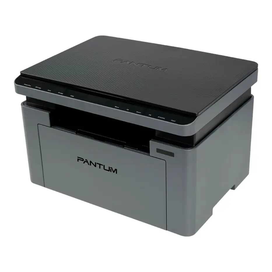 МФУ Pantum BM2302W 