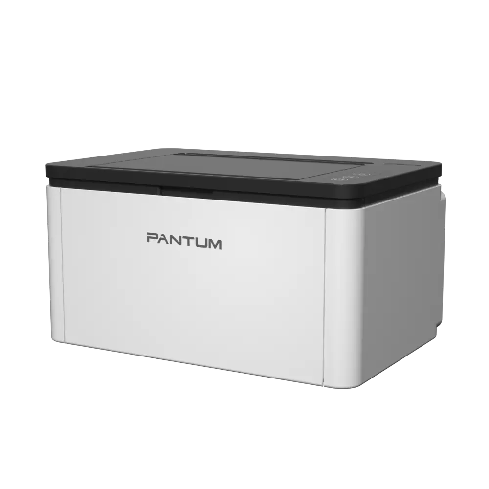 Принтер Pantum BP1800W 