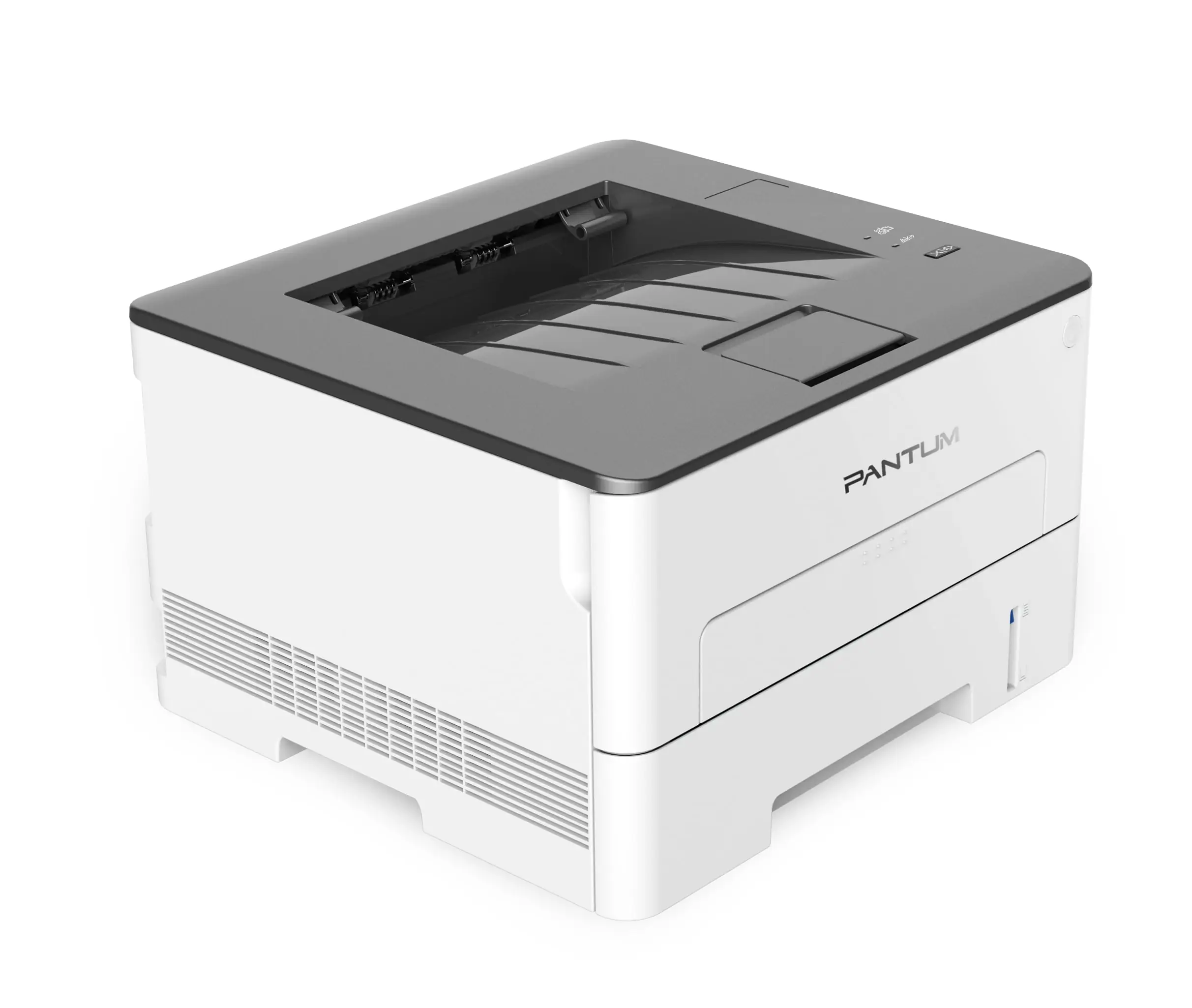 Принтер Pantum P3010D 