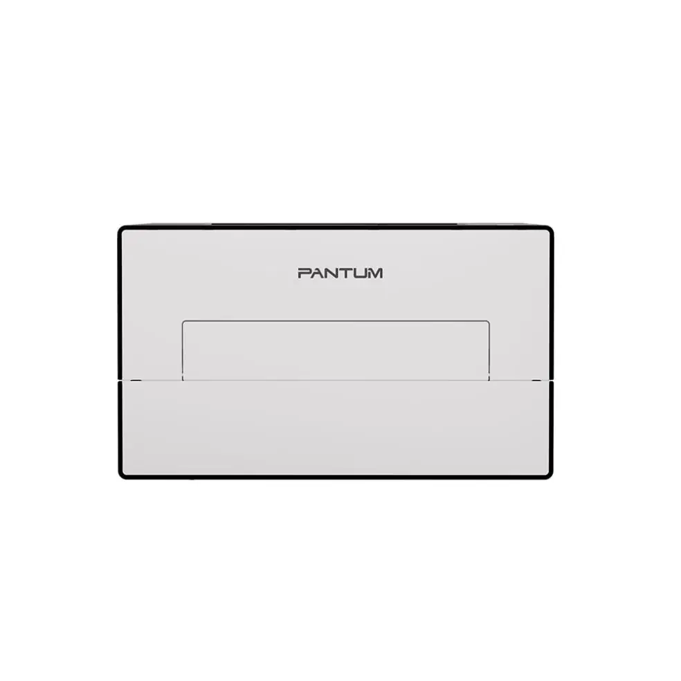 Принтер Pantum BP4211DN 