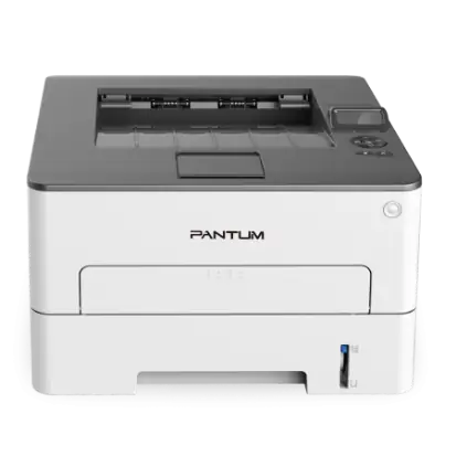 Принтер Pantum P3308DW/RU 