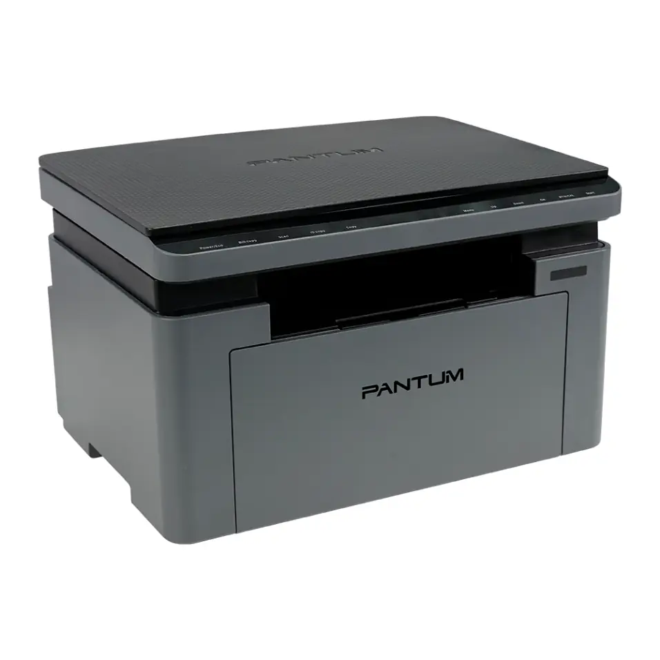 МФУ Pantum BM2302W 